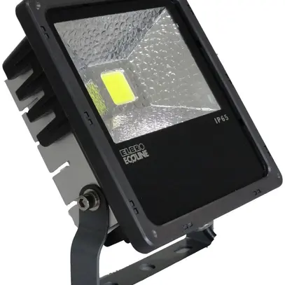 Projecteur LED 20W Daylight noir 