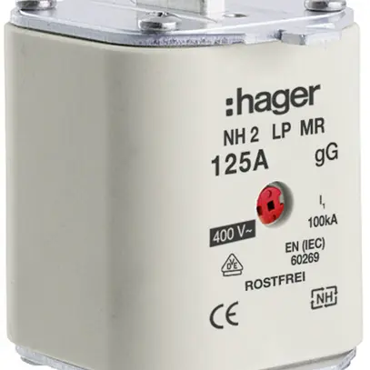 Fusibile HPC Hager DIN2 400VAC 125A gG/gL segnalatore centrale inossidabile 