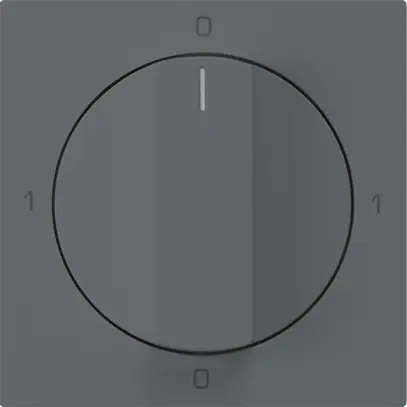 Inserto per interruttore rotativo kallysto 0/1L antracite con manopola 