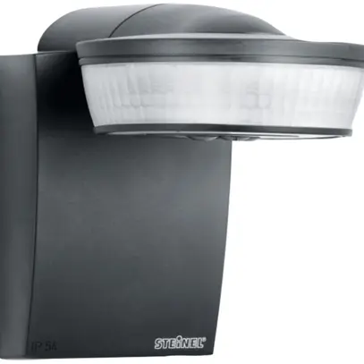 Détecteur de mouvement AP Steinel sensIQ, noir 