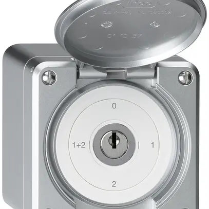 Interruttore a chiave con copertura AP robusto IP55 S1/1P alluminio 