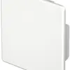 Plaque de fermeture Bettermann pour canal d'installation WDK blanc pur 60×60mm 