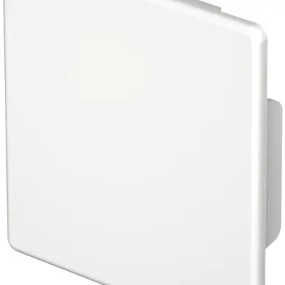 Plaque de fermeture Bettermann pour canal d'installation WDK blanc pur 60×60mm 