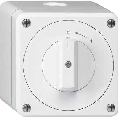 Contatto rotativo AP robusto IP55 bianco 1P 