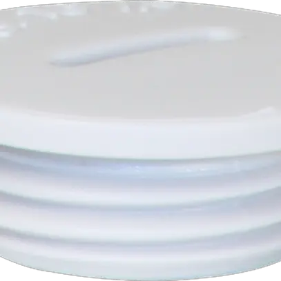 Bouchon avec rebord PS M16 gris clair 