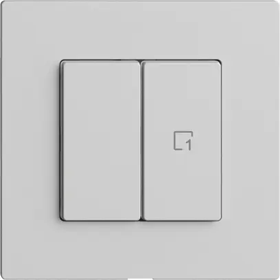 Commande pour interrupteur 1c scène/2t Edue Wiser gris clair 