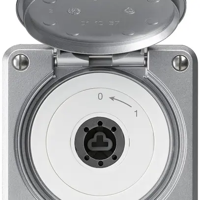 UP-Schlüsselschwenktaster robusto IP55 aluminium mit Deckel ohne Zylinder 2P 