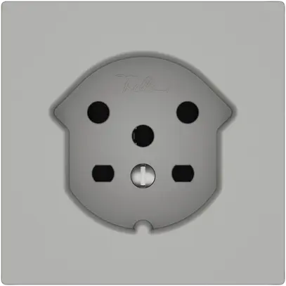 Prise EDIZIO.liv SNAPFIX® 1×T15 grc 