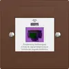 Prise de retour EDIZIOdue F 1×RJ45 p.Swisscom VoIP, 8 pôles, UTP, coffee 