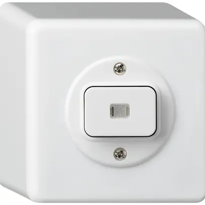 Pulsante luminoso AP basico AR/2L bianco 