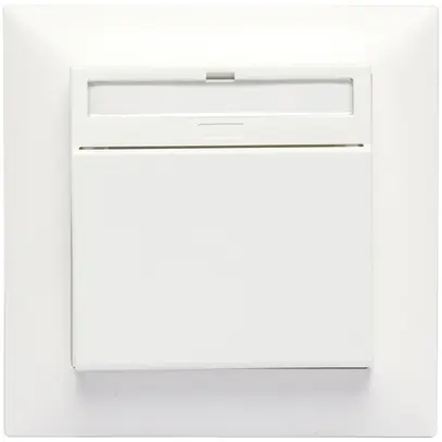 Interruttore ALADIN EnOceanINC Hotelcard, bianco, cavo+s.batteria 