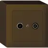 Presa di passaggio AP kallysto R/TV 14dB marrone 