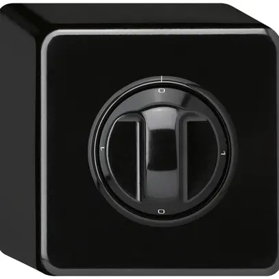 Interruttore rotativo AP basico 0/2L nero con manopola 