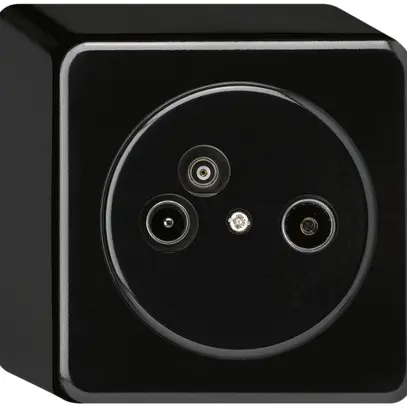 Presa d'antenna AP TV-R-Dati basico 2GHz 11db nero 