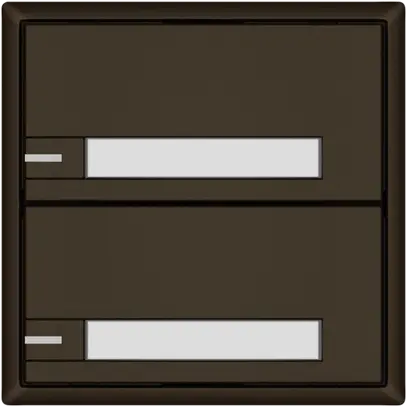 Poussoir KNX RGB EDIZIO.liv SNAPFIX® capteur temp.RGB-LED étiqu.2×com.1T br 