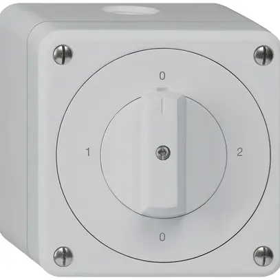 AP-Drehschalter robusto IP55 Schema 2/1P grau 