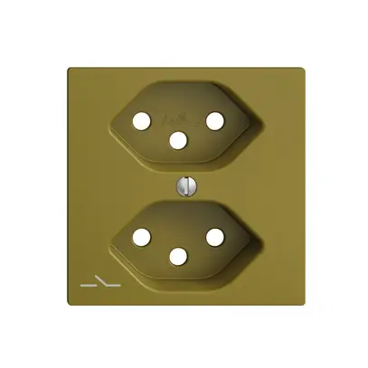 Plaque frontale 2×T13,S EDIZIOdue olive 
