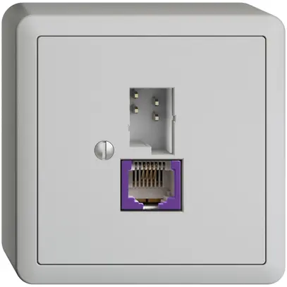 Presa AP T+T 6P/1×RJ45 DSL-a banda larga grigio chiaro EDIZIOdue 