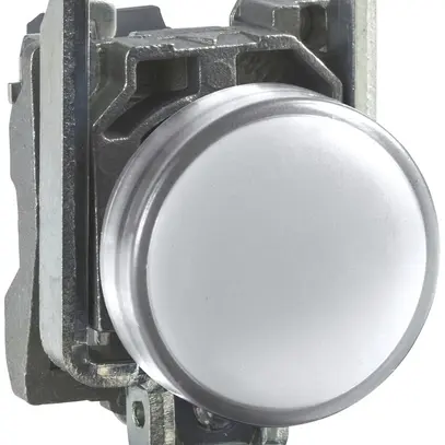 Signal lumineux INC Schneider Electric LED blanc 24V 