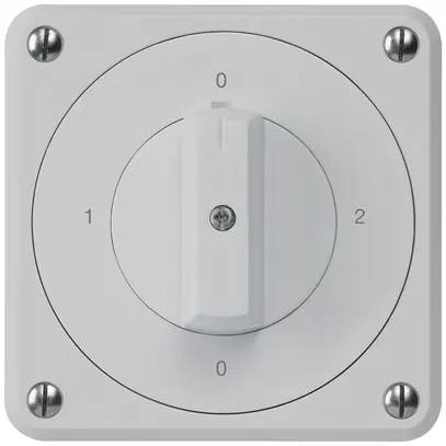 Interruttore rotativo INC robusto IP55 schema 2/1P grigio 