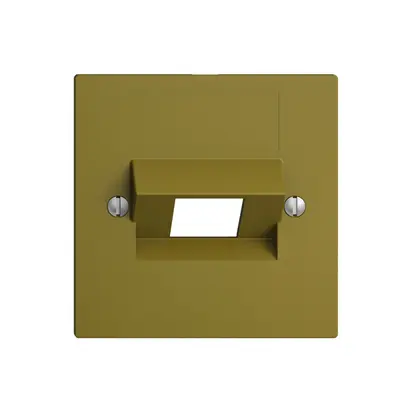 Placca frontale 1×RJ45 ITplus EDIZIOdue olive 