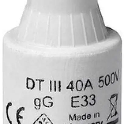 D-Sicherung DTIII 32A 500V gG 