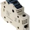 Borne fusible Weidmüller WSI /1 10X38/LED 1KV connexion à vis 25mm² TS35 beige 
