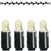 Ghirlanda luminosa System LED Extra, 3m, nero, 4W, 30 LED, bianco caldo 