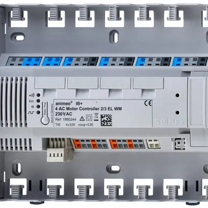 Attuatore di persiana AP Somfy animeo IB+ 4 AC MotorController 2/3 EL WM 230V 