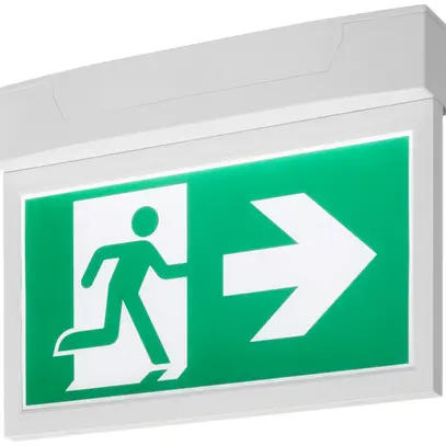 Lampada emergenza e indicazione LED P-LIGHT 33 4W 32lm 6000K IP20 bianco 