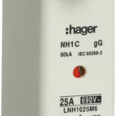 Fusible HPC Hager DIN1 690VAC 125A gG/gL avertisseur double inoxydable 