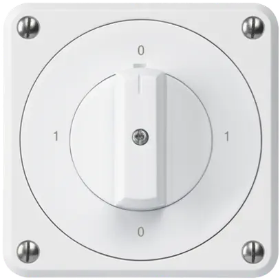Interruttore rotativo INC robusto IP55 S0/1P bianco per combinazione 