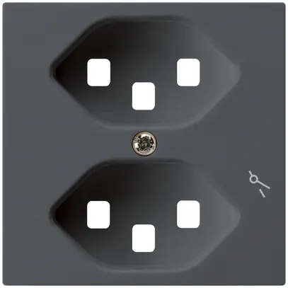 Plaque frontale pour prise Hager kallysto 2×T23 1×S H anthracite 