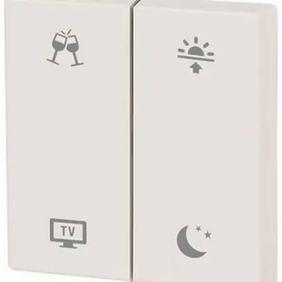 Bascule xComfort CWIZ-02/91, 2 fois, symboles de scènes, 55×55mm, blanc brillant 