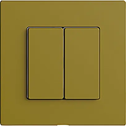 Interrupteur 2K/2T WLAN Edue Wiser olive 