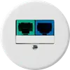 Einsatz zu UP-Dose DSL basico 2×RJ45 weiss 