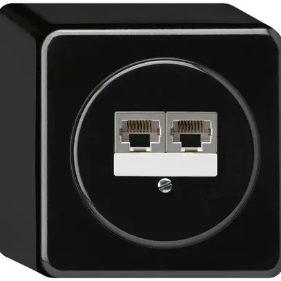 Scatola di raccordo AP basico 2×RJ45s separato nero 