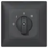 Interruttore rotativo INC SIDUS B 5/1L antracite 