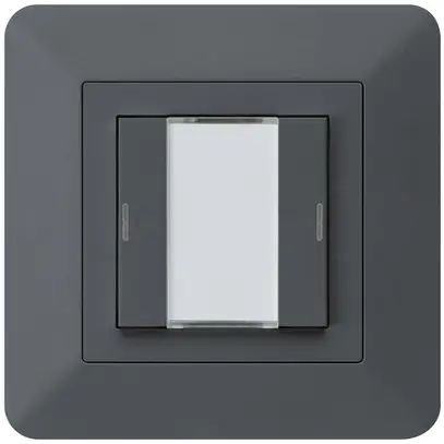 Poussoir ENC kallysto.trend KNX 2×LED RGB s/e-link anthracite 
