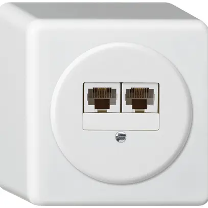Scatola di raccordo AP basico 2×RJ45u bianco parallelo 