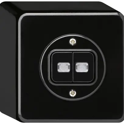 Interrupteur pouss.lum.AP basico 1/3+3/1L avec 2 lentilles noir 