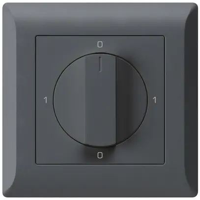 Interrupteur rotatif ENC kallysto.line 0/1L anthracite avec manette 