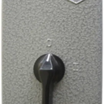 Salvamotore INS DISA E/AS40/43.0 Y/∆ 30…43A 