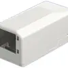 Boîtier AP mini R&M 1 port freenet blanc RJ45 