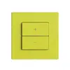 Dimmer DALI 1K/2T WLAN Edue Wiser lemon 