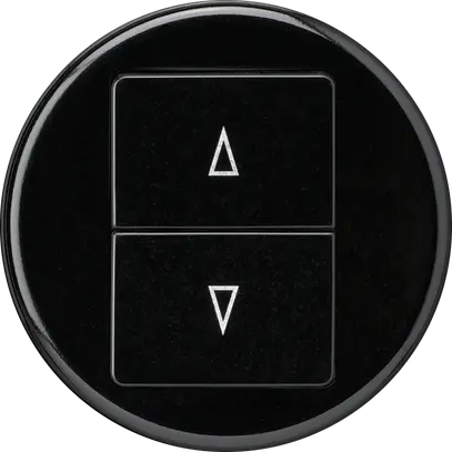 Storentaster basico schwarz mit 2 Funktionstasten Steckklemme 