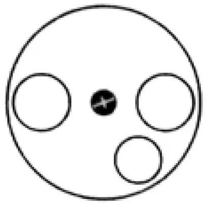 Disque frontal basico TV-R 58mm blanc 