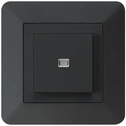 Interrupteur poussoir lumineux ENC kallysto.trend 3/1P noir 