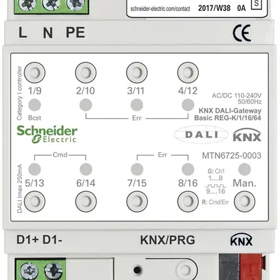 Interfaccia AMD Schneider Electric Basic 1/16/64, KNX/DALI 