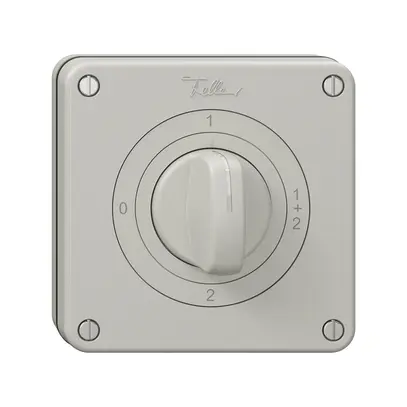 Interrupteur rotatif NUP NEVO, 1/1 L, avec manette, KS, 0-1-1+2-2, gris clair 